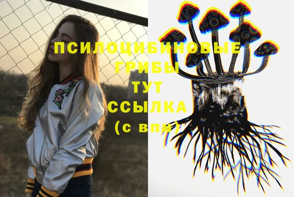 мяу мяу мука Осинники