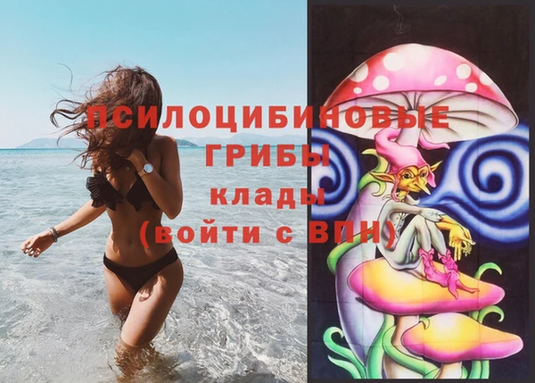 каннабис Осташков