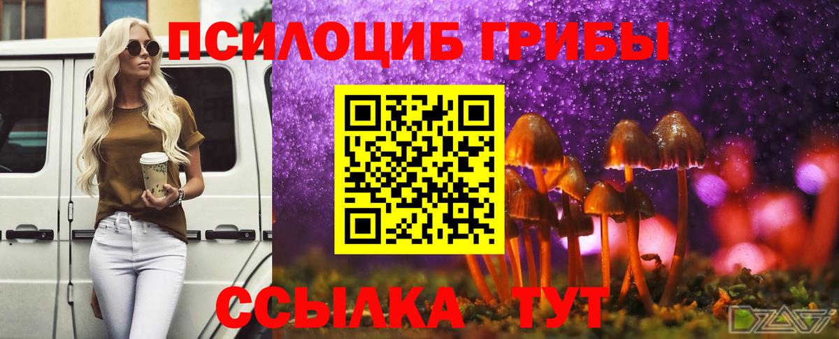 Галлюциногенные грибы мицелий Ахтубинск