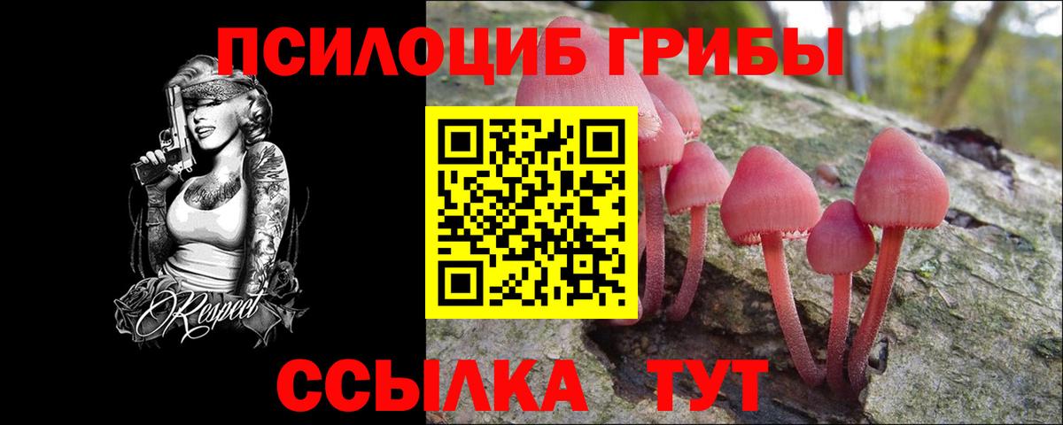 наркошоп  Псилоцибиновые грибы Magic Shrooms  Псилоцибиновые грибы мухоморы  Вход с VPN  Ахтубинск 
