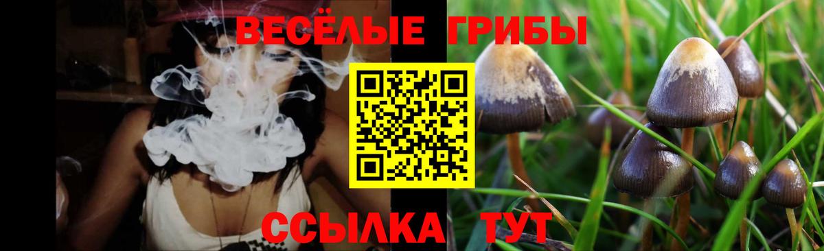 Псилоцибиновые грибы Psilocybine cubensis  Ахтубинск 