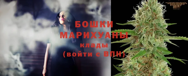 Шишки марихуана THC 21%  Ахтубинск 