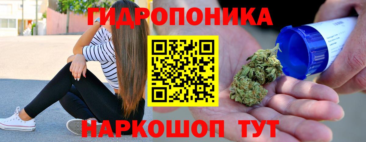 Шишки марихуана гибрид  Бошки марихуана план  Ахтубинск  Вход с VPN  Бошки Шишки AK-47  Конопля VHQ 